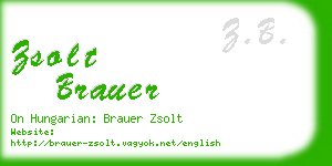 zsolt brauer business card